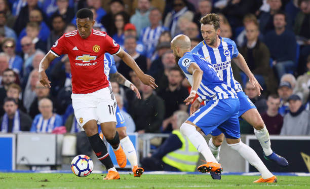 有一个庞大 有一个庞大